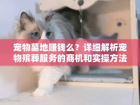 宠物墓地赚钱么？详细解析宠物殡葬服务的商机和实操方法