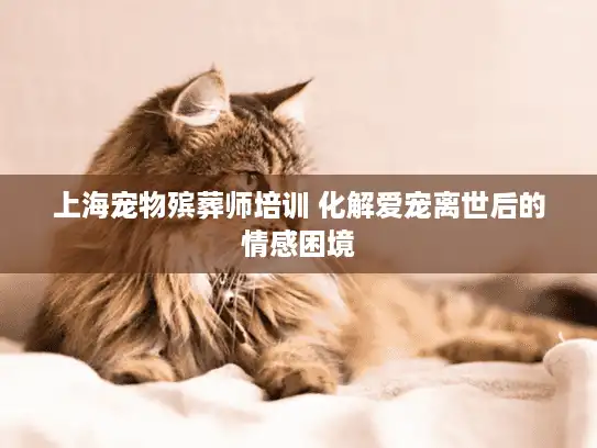 上海宠物殡葬师培训 化解爱宠离世后的情感困境