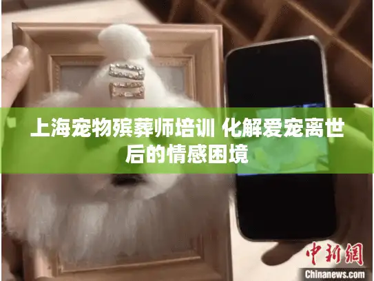 上海宠物殡葬师培训 化解爱宠离世后的情感困境