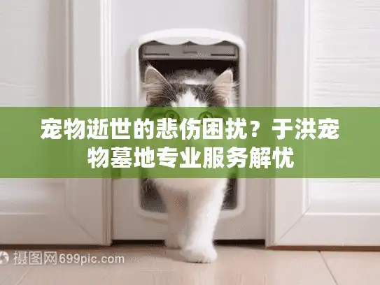 宠物逝世的悲伤困扰？于洪宠物墓地专业服务解忧