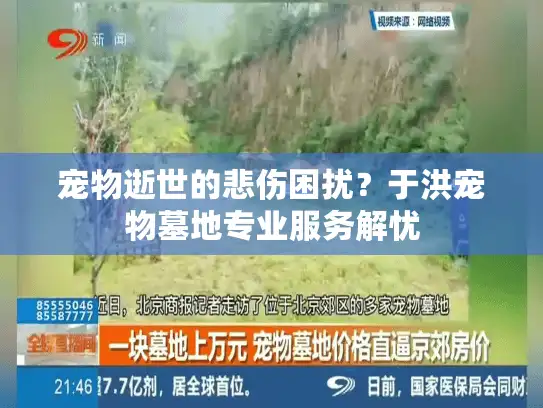 宠物逝世的悲伤困扰？于洪宠物墓地专业服务解忧