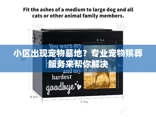 小区出现宠物墓地？专业宠物殡葬服务来帮你解决