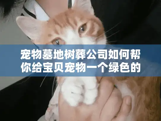 宠物墓地树葬公司如何帮你给宝贝宠物一个绿色的告别仪式？