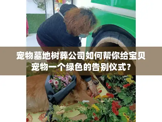 宠物墓地树葬公司如何帮你给宝贝宠物一个绿色的告别仪式？