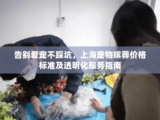 告别爱宠不踩坑，上海宠物殡葬价格标准及透明化服务指南