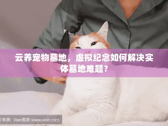 云养宠物墓地，虚拟纪念如何解决实体墓地难题？