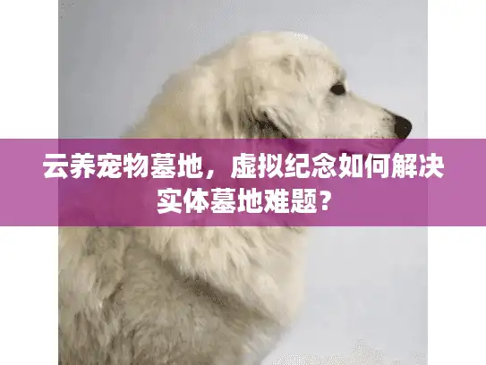 云养宠物墓地，虚拟纪念如何解决实体墓地难题？