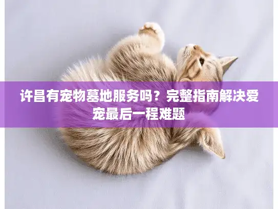 许昌有宠物墓地服务吗？完整指南解决爱宠最后一程难题