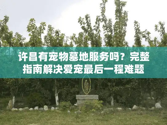 许昌有宠物墓地服务吗？完整指南解决爱宠最后一程难题