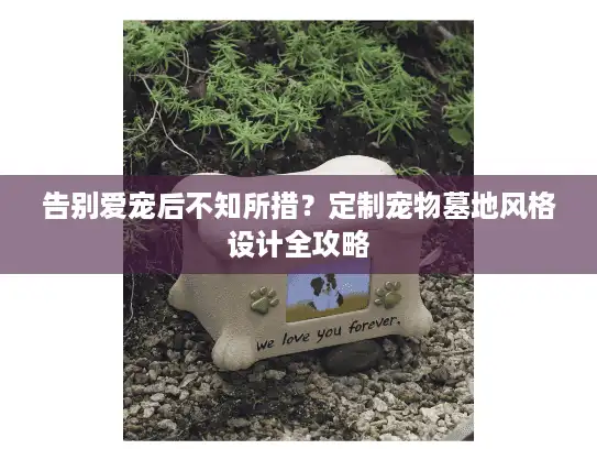 告别爱宠后不知所措？定制宠物墓地风格设计全攻略