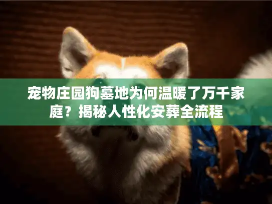 宠物庄园狗墓地为何温暖了万千家庭？揭秘人性化安葬全流程