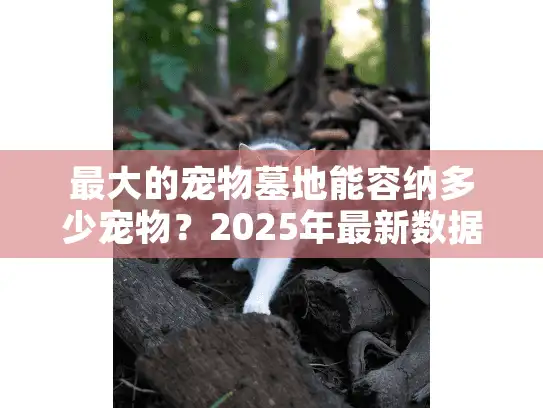 最大的宠物墓地能容纳多少宠物？2025年最新数据解析