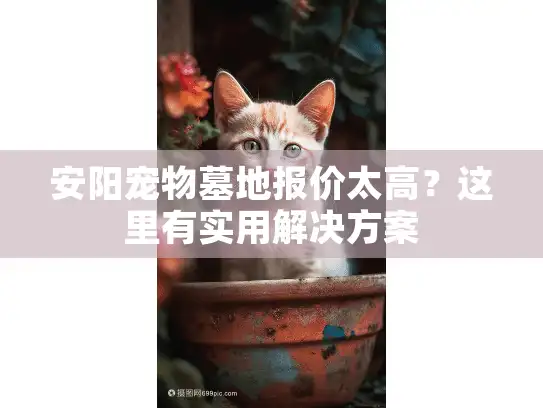 安阳宠物墓地报价太高？这里有实用解决方案