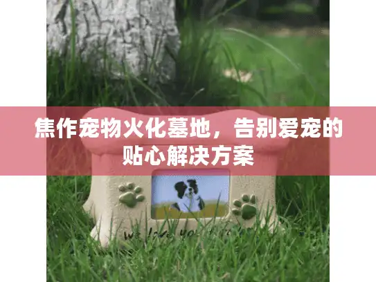 焦作宠物火化墓地，告别爱宠的贴心解决方案