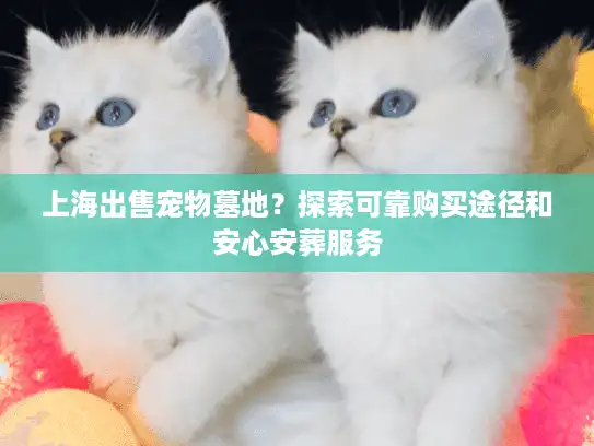 上海出售宠物墓地？探索可靠购买途径和安心安葬服务