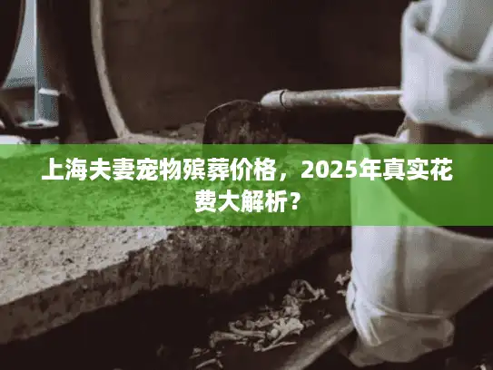 上海夫妻宠物殡葬价格，2025年真实花费大解析？
