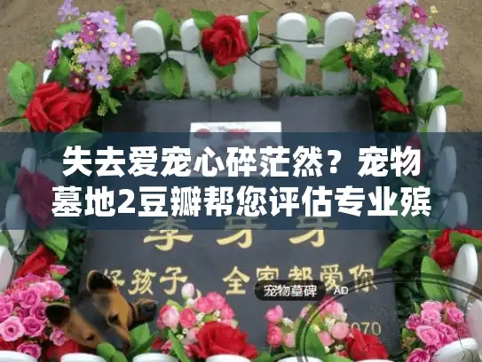 失去爱宠心碎茫然？宠物墓地2豆瓣帮您评估专业殡葬服务