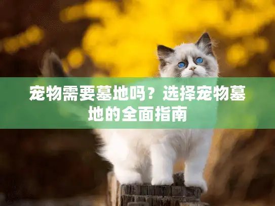 宠物需要墓地吗？选择宠物墓地的全面指南
