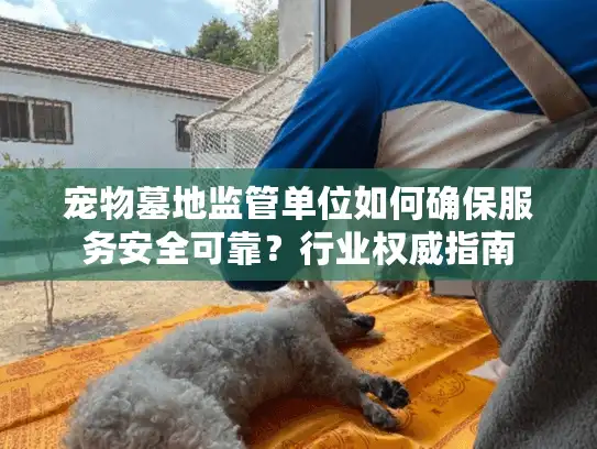 宠物墓地监管单位如何确保服务安全可靠？行业权威指南
