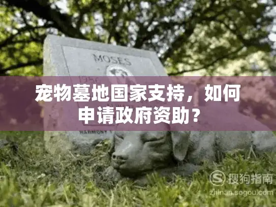 宠物墓地国家支持，如何申请政府资助？