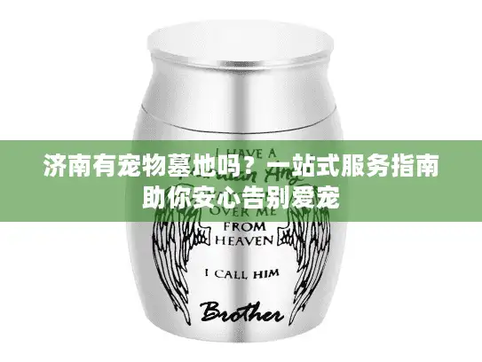 济南有宠物墓地吗？一站式服务指南助你安心告别爱宠