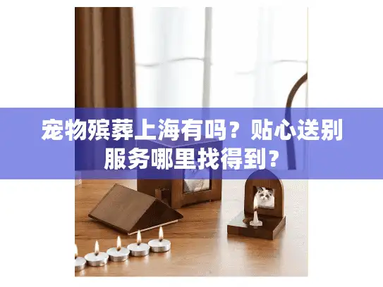 宠物殡葬上海有吗？贴心送别服务哪里找得到？