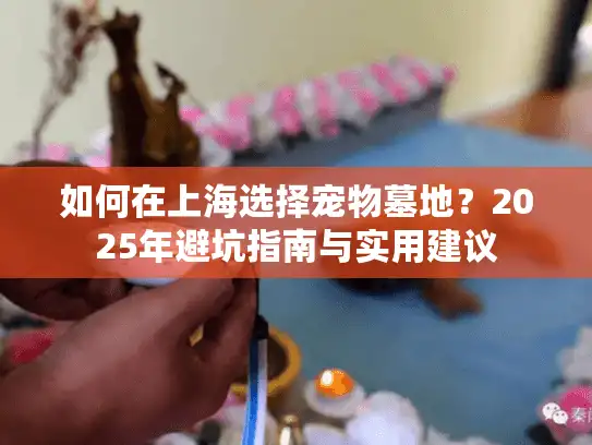 如何在上海选择宠物墓地？2025年避坑指南与实用建议