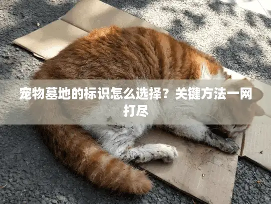 宠物墓地的标识怎么选择？关键方法一网打尽