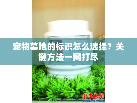 宠物墓地的标识怎么选择？关键方法一网打尽