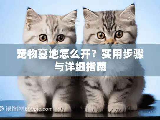 宠物墓地怎么开？实用步骤与详细指南