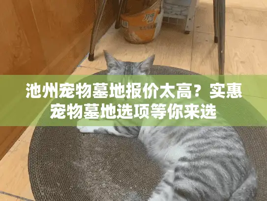 池州宠物墓地报价太高？实惠宠物墓地选项等你来选