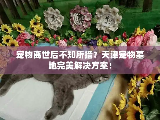 宠物离世后不知所措？天津宠物墓地完美解决方案！
