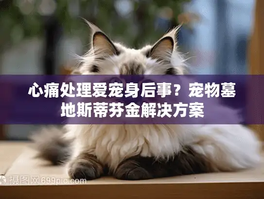 心痛处理爱宠身后事？宠物墓地斯蒂芬金解决方案