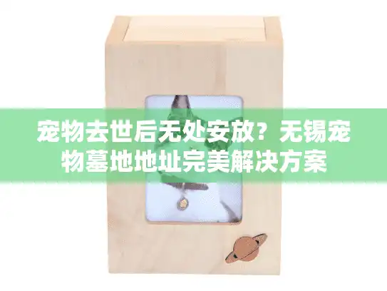 宠物去世后无处安放？无锡宠物墓地地址完美解决方案