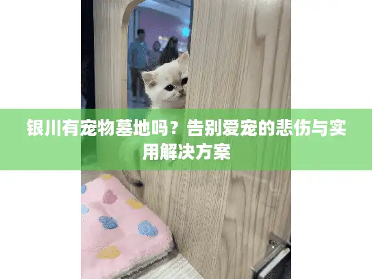 银川有宠物墓地吗？告别爱宠的悲伤与实用解决方案