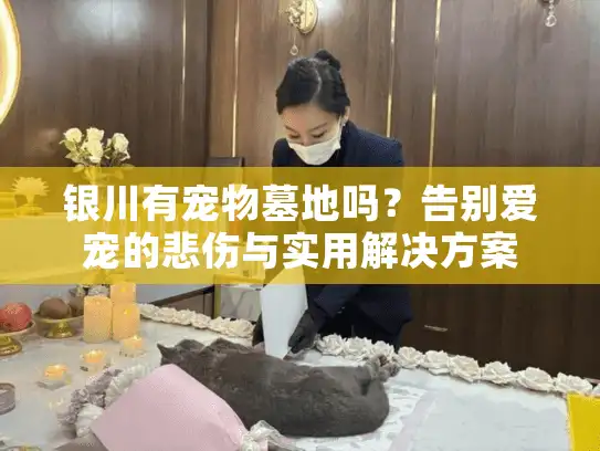 银川有宠物墓地吗？告别爱宠的悲伤与实用解决方案
