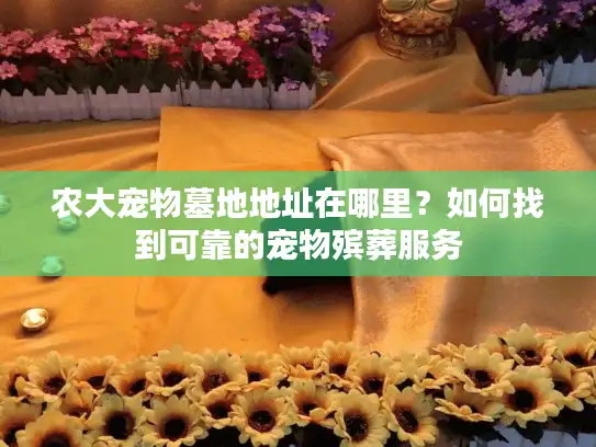 农大宠物墓地地址在哪里？如何找到可靠的宠物殡葬服务