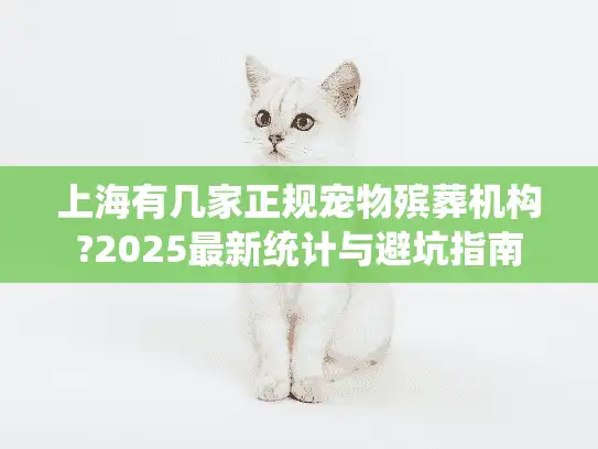 上海有几家正规宠物殡葬机构?2025最新统计与避坑指南