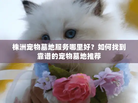 株洲宠物墓地服务哪里好？如何找到靠谱的宠物墓地推荐