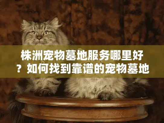 株洲宠物墓地服务哪里好？如何找到靠谱的宠物墓地推荐