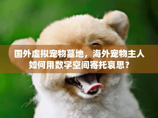 国外虚拟宠物墓地，海外宠物主人如何用数字空间寄托哀思？