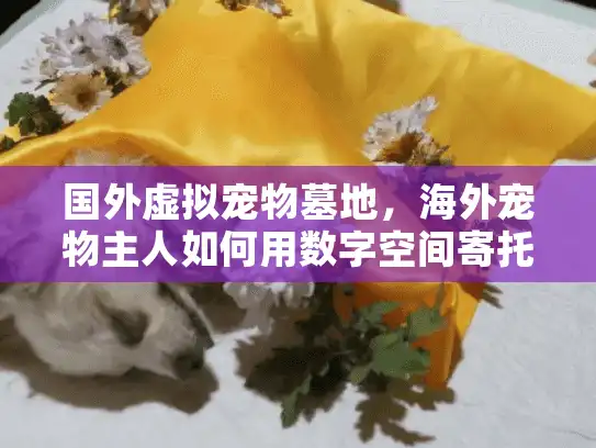 国外虚拟宠物墓地，海外宠物主人如何用数字空间寄托哀思？