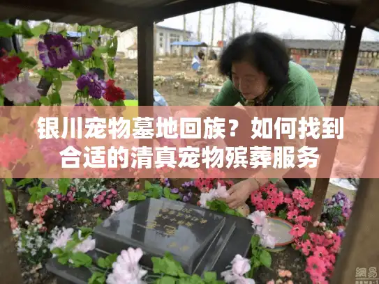 银川宠物墓地回族？如何找到合适的清真宠物殡葬服务