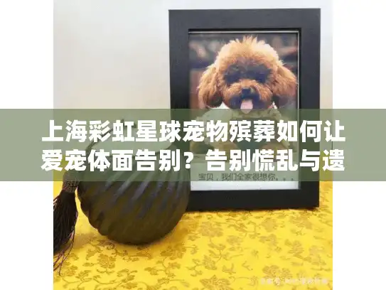 上海彩虹星球宠物殡葬如何让爱宠体面告别？告别慌乱与遗憾