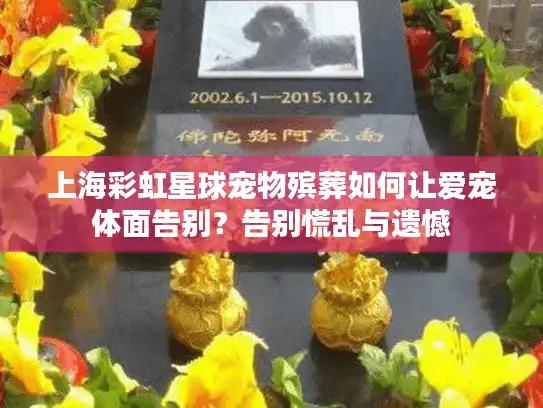 上海彩虹星球宠物殡葬如何让爱宠体面告别？告别慌乱与遗憾