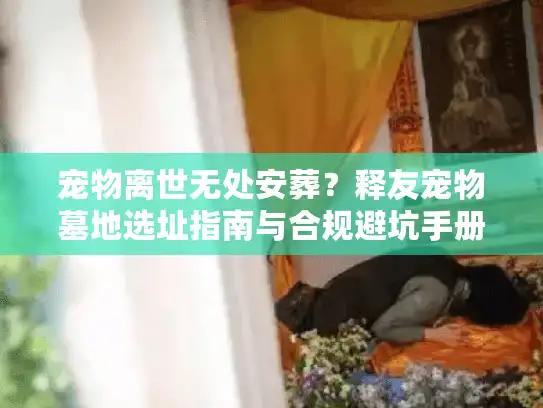 宠物离世无处安葬？释友宠物墓地选址指南与合规避坑手册