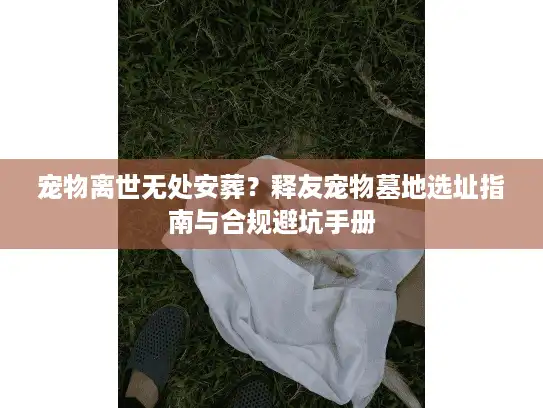 宠物离世无处安葬？释友宠物墓地选址指南与合规避坑手册