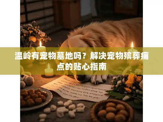 温岭有宠物墓地吗？解决宠物殡葬痛点的贴心指南