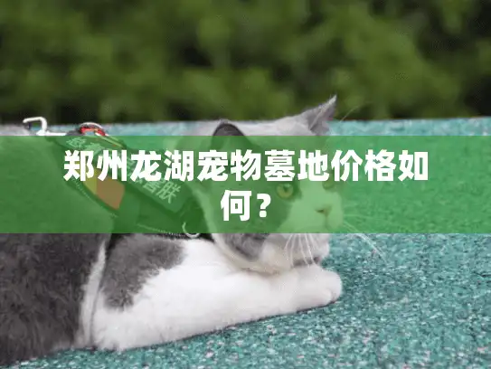 郑州龙湖宠物墓地价格如何？