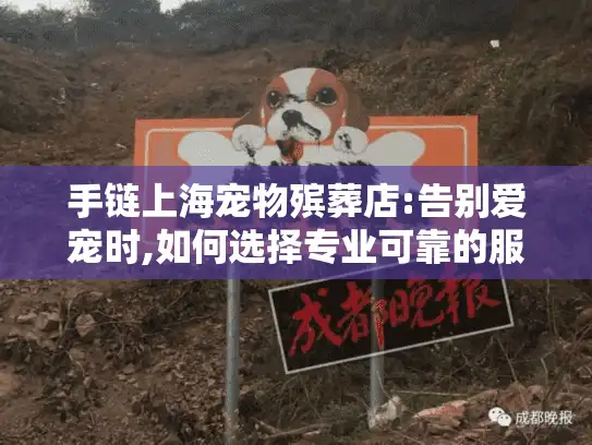 手链上海宠物殡葬店:告别爱宠时,如何选择专业可靠的服务机构?